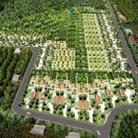 Bán Đất Vườn Cây Ăn Trái, Sổ Sẵn 1000M2, Giá Chỉ 900 Ngàn/M2, Gần Hồ Trị An