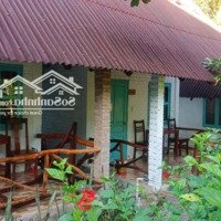 Bán Homestay Núi Cây Sao Phú Quốc 30 Tỷ 0938 803 925