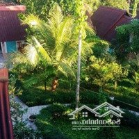 Bán Homestay Núi Cây Sao Phú Quốc 30 Tỷ 0938 803 925