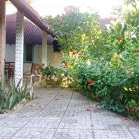 Bán Homestay Núi Cây Sao Phú Quốc 30 Tỷ 0938 803 925