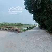 Nhỉnh 1 Triệu/M2 Bán 4600M Đất Vườn Tại Kim Sơn Gia Lâm