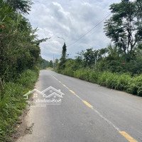 Bán 1007M2 Đất Đường Phú Xuân Núi Tượng - Huyện Tân Phú Sinh Lời Nhanh 100 Triệu/M Ngang