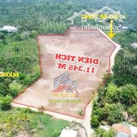 Cần Bán 11.3450M² Đất Vườn, 2 Mặt Tiền, Cách Ql20 300M, Phú Ngọc, Đq, Đn