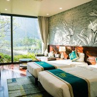 Bán Cắt Lỗ Biệt Thự Dự Án Vedana Resort Ninh Bình