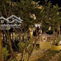 Bán Farm 4741M2 Nước Nhĩ - Khánh Phú - Khánh Vĩnh - Khánh Hòa