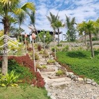 Bán Farm 4741M2 Nước Nhĩ - Khánh Phú - Khánh Vĩnh - Khánh Hòa