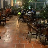 Cần Sang Lại Quán Caffe Cá Koi Bình Giã P8 Tp Vtau