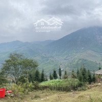 Bán Đất Nền Sapa Rộng 1500M2 View Thung Lũng Ở Mường Hoa