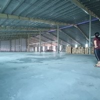 Cho Thuê Kho Xưởng Kcn Hải Sơn, 10.000M2, Long An