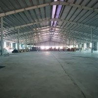 Cho Thuê Kho Xưởng Kcn Hải Sơn, 10.000M2, Long An