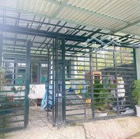 Bán Gấp Nhà 123M2 ( Thổ Cư) Ấp Búng Gội Xã Cửa Dương Thành Phố Phú Quốc