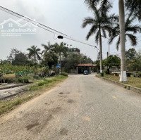 Bán Đất Khu Rặng Dừa -Khu Đô Thịhà Tiên, Vĩnh Yên, Vĩnh Phúc