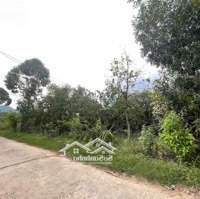 Bán 33X49 Đất Nam Cát Tiên - Huyện Tân Phú Giá Gốc Sổ Hồng Riêng