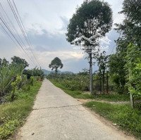 Bán 33X49 Đất Nam Cát Tiên - Huyện Tân Phú Giá Gốc Sổ Hồng Riêng