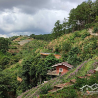 Bán Nhà Bên Suối, Có View, Có Rừng