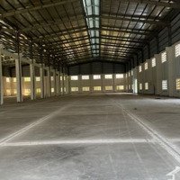 Cho Thuê Kho Xưởng 3000M2, 5500M2, 11000M2Diện Tích824, Lương Bình, Bến Lức, Long An