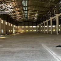 Cho Thuê Kho Xưởng 3000M2, 5500M2, 11000M2Diện Tích824, Lương Bình, Bến Lức, Long An