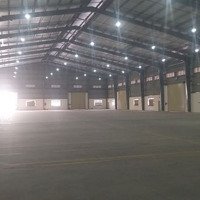 Cho Thuê Kho Xưởng 3000M2, 5500M2, 11000M2Diện Tích824, Lương Bình, Bến Lức, Long An