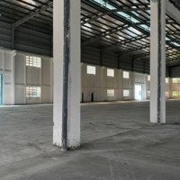 Cho Thuê Kho Xưởng 3000M2, 5500M2, 11000M2Diện Tích824, Lương Bình, Bến Lức, Long An