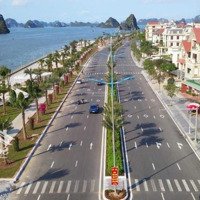 Bán Đất Lữ Đoàn 170 Phường Hà Tu - Tp. Hạ Long - Quảng Ninh