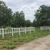 Đất Vườn La Ngà, Định Quán, Đồng Nai, Sổ Sẵn 1000M2, Gần Hồ Trị An