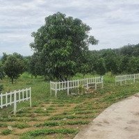 Đất Vườn La Ngà, Định Quán, Đồng Nai, Sổ Sẵn 1000M2, Gần Hồ Trị An