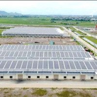 Cho Thuê Kho Xưởng 6000M2 Tại Kcn Wha Nghệ An Giá Bán 175 Triệu Full Pccc