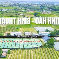 CỰC NÓNG !! Đất nền Biển Bình Thuận- giá đầu tư mặt tiền 29m chỉ 6tr/m2