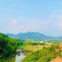 3,7ha full cây lâu năm bám suối đẹp tại Kim Bôi