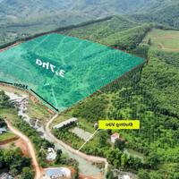 3,7ha full cây lâu năm bám suối đẹp tại Kim Bôi