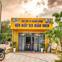 Bán Đất Nền Khu Dân Cư Tân Hội Phan Rang Tháp Chàm Ninh Thuận. View Hồ Sen Cực Đẹp Ck 16% Cho 5 Nền