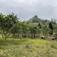 Đón nhận cơ hội sở hữu mảnh đất đẹp tại Thu Phong, Cao Phong, Hòa Bình.