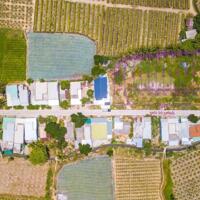 Đất nền sổ đỏ Biển Liên Hương - Bình Thuận chỉ 700 triệu/lô 120m2 - sổ đỏ đất ở 100%
