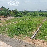 Bán Đất 140M2, Full Thổ Ở Tân Hưng. 480 Triệu. Ngay Kcn