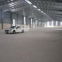 Xưởng 4000M2 Trong Kcn Ninh Bình Mới Xd,Pccc Tđộng