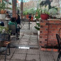 Cần Sang Lại Quán Cafe Nguyễn Thị Tú, Vĩnh Lộc