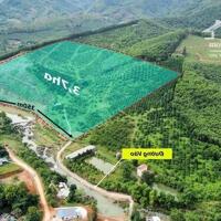 3,7ha full rừng sản xuất, quy hoạch lên đất thổ cư.