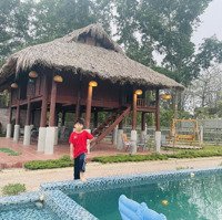 Cần Tìm Chủ Nhân Mới Cho Khu Resort Nghỉ Dưỡng Tại Tiên Phong, Ba Vì, Giá Bán 8,5 Tỷ