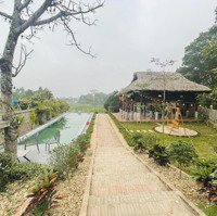 Cần Tìm Chủ Nhân Mới Cho Khu Resort Nghỉ Dưỡng Tại Tiên Phong, Ba Vì, Giá Bán 8,5 Tỷ