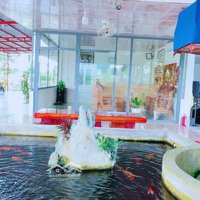 Cho Thuê Homestay Siêu Xinh, Gần Biển, Giá Rẻ, Sạch Sẽ, Thoáng Mát, Không Gian Rộng Rãi, La Gi