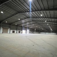 Chính Chủ Cho Thuê 4000M2 Xưởng Tại Nghệ An Đầy Đủ Pccc Giá Cực Rẻ