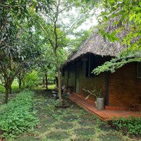 Cho Thuê Lại Farmstay Đã Xây Dựng Và Hoàn Thiện