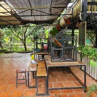 Cho Thuê Lại Farmstay Đã Xây Dựng Và Hoàn Thiện