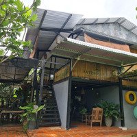 Cho Thuê Lại Farmstay Đã Xây Dựng Và Hoàn Thiện