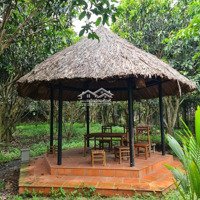 Cho Thuê Lại Farmstay Đã Xây Dựng Và Hoàn Thiện