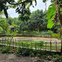 Cho Thuê Lại Farmstay Đã Xây Dựng Và Hoàn Thiện