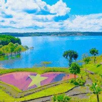 Cần Sang Nhượng Khu Nghỉ Dưỡng Tuyệt Đẹp View Hồ Sông Ray Tỉnh Đồng Nai Giá Rẻ