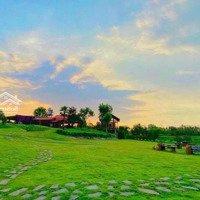 Cần Sang Nhượng Khu Nghỉ Dưỡng Tuyệt Đẹp View Hồ Sông Ray Tỉnh Đồng Nai Giá Rẻ