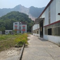 Bán Kho Xưởng Đường Hcm Xã Liên Sơn, Huyện Lương Sơn, Hòa Bình