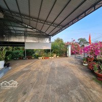 Bán Nhà Vườn Trái Cây 5756M2, 300M2 Thổ Cư. Khu Dân Cư Kiểu Mẫu Ấp 10, Xuân Tây, Cẩm Mỹ, Đồng Nai